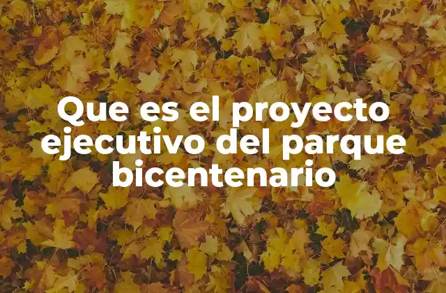 Que es el Proyecto Ejecutivo Del Parque Bicentenario