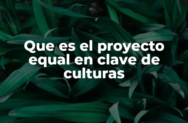 Que es el Proyecto Equal en Clave de Culturas
