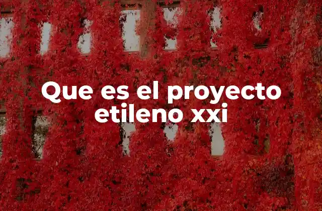 Que es el Proyecto Etileno Xxi