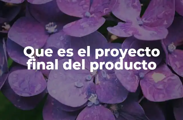 Que es el Proyecto Final Del Producto