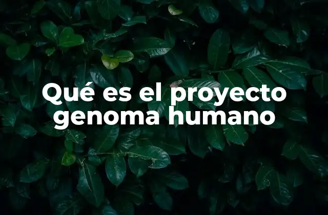 El impacto del mapeo genético en la medicina moderna