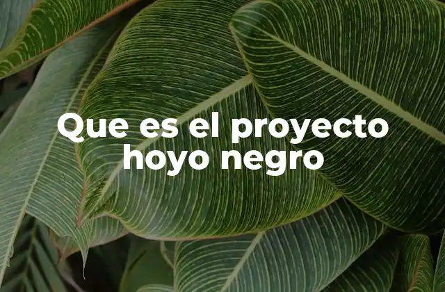 Que es el Proyecto Hoyo Negro 2 La importancia científica de Hoyo Negro