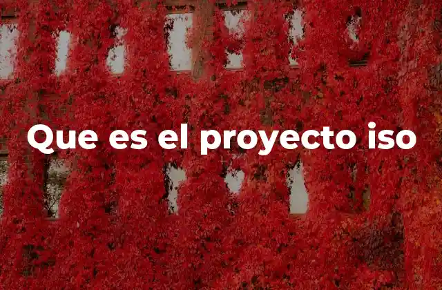Que es el Proyecto Iso