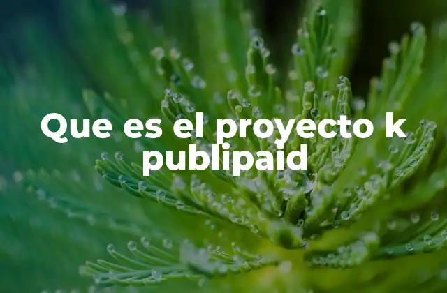 Que es el Proyecto K Publipaid