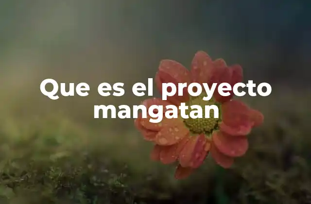 Que es el Proyecto Mangatan