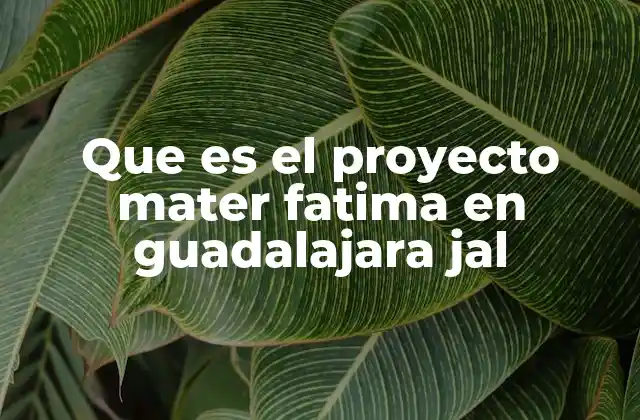 Que es el Proyecto Mater Fatima en Guadalajara Jal 2 La importancia del Proyecto Mater Fátima en el contexto urbano de Guadalajara