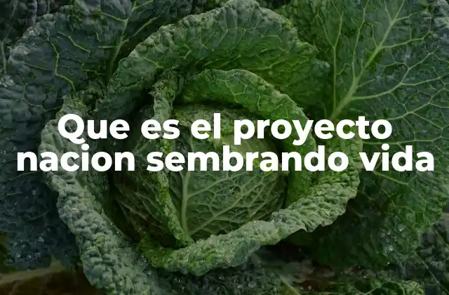 Que es el Proyecto Nacion Sembrando Vida