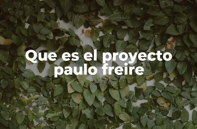 Que es el Proyecto Paulo Freire 2 La pedagogía como herramienta de transformación social