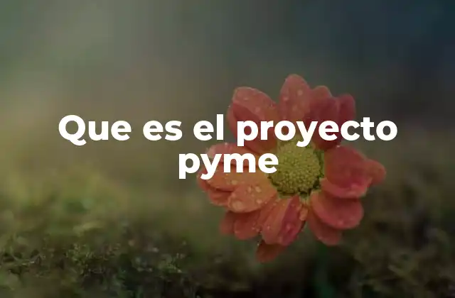 Que es el Proyecto Pyme 2 Cómo los proyectos pyme impulsan el desarrollo empresarial