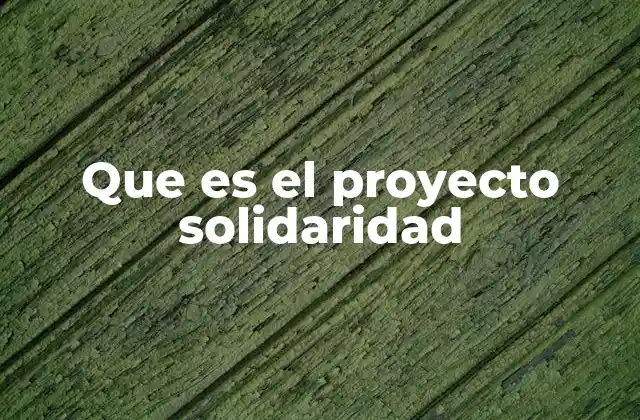 Que es el Proyecto Solidaridad