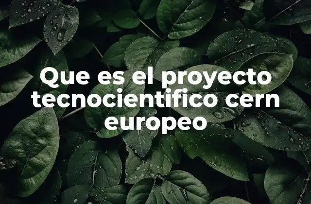 Que es el Proyecto Tecnocientifico Cern Europeo 2 El papel del CERN en la exploración de la física moderna