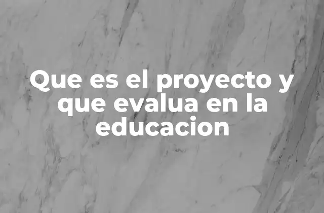Que es el Proyecto y que Evalua en la Educacion