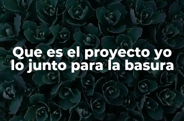 Que es el Proyecto Yo Lo Junto para la Basura