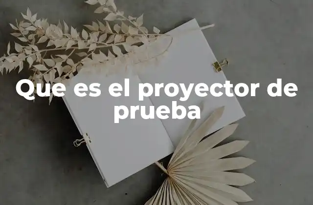 Que es el Proyector de Prueba