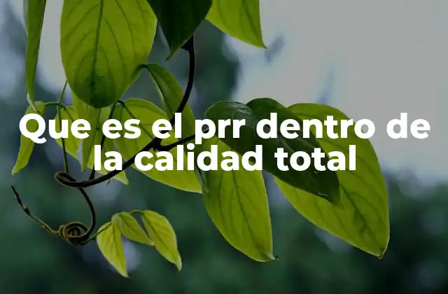 Que es el Prr Dentro de la Calidad Total