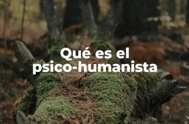 Qué es el Psico-humanista 2 El enfoque del ser humano desde una perspectiva humanista
