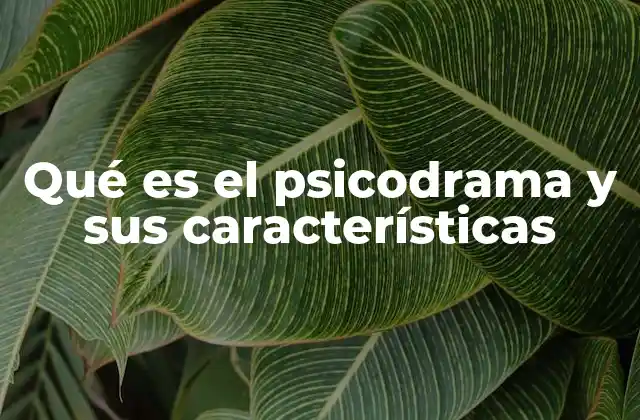 Qué es el Psicodrama y Sus Características 2 El psicodrama como herramienta para el autoconocimiento