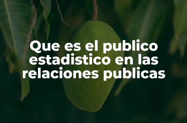 Que es el Publico Estadistico en las Relaciones Publicas