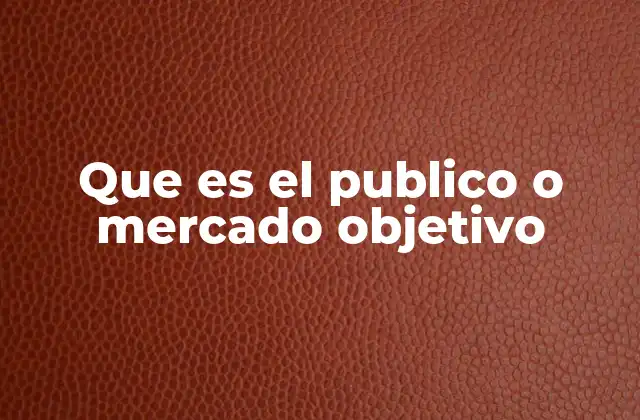 Que es el Publico o Mercado Objetivo