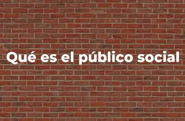 Qué es el Público Social
