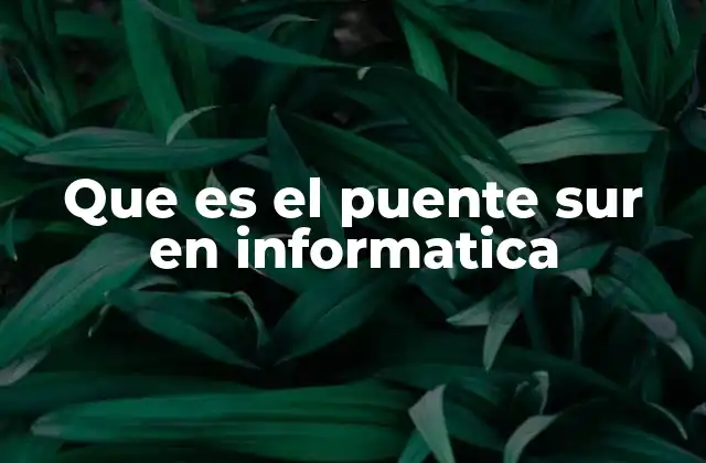 Que es el Puente Sur en Informatica
