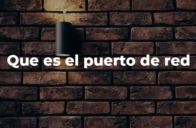 Que es el Puerto de Red