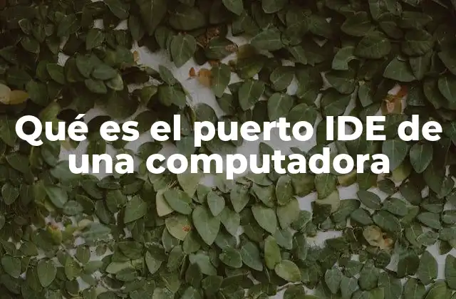Qué es el Puerto Ide de una Computadora