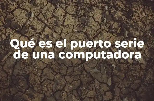 Qué es el Puerto Serie de una Computadora