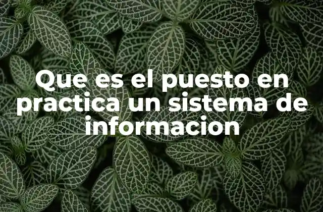 Que es el Puesto en Practica un Sistema de Informacion
