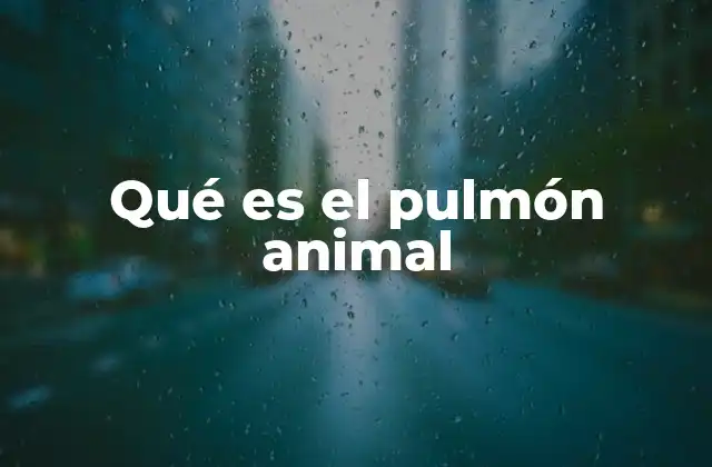 Qué es el Pulmón Animal