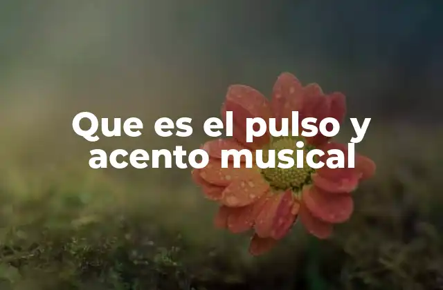 Que es el Pulso y Acento Musical