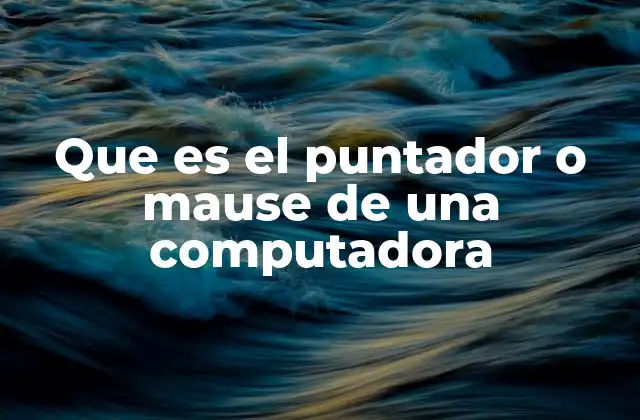 Que es el Puntador o Mause de una Computadora