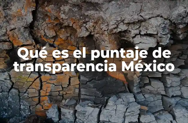 Qué es el Puntaje de Transparencia México