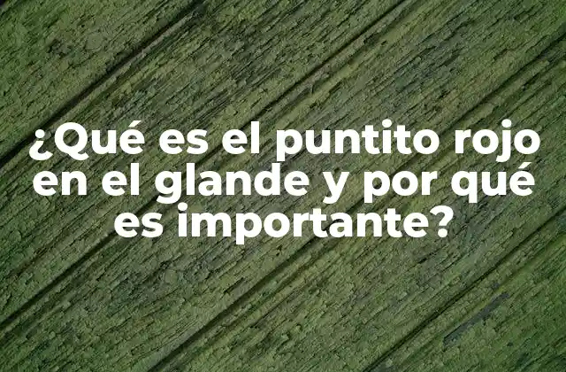 ¿qué es el Puntito Rojo en el Glande y por Qué es Importante?