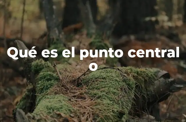 Qué es el Punto Central o