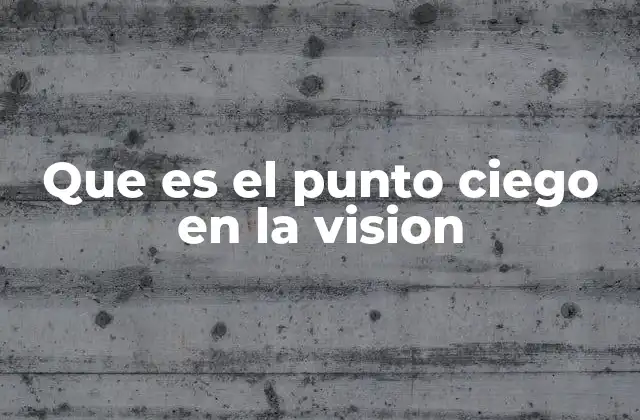 Que es el Punto Ciego en la Vision