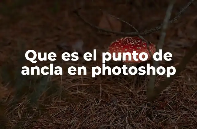 Que es el Punto de Ancla en Photoshop