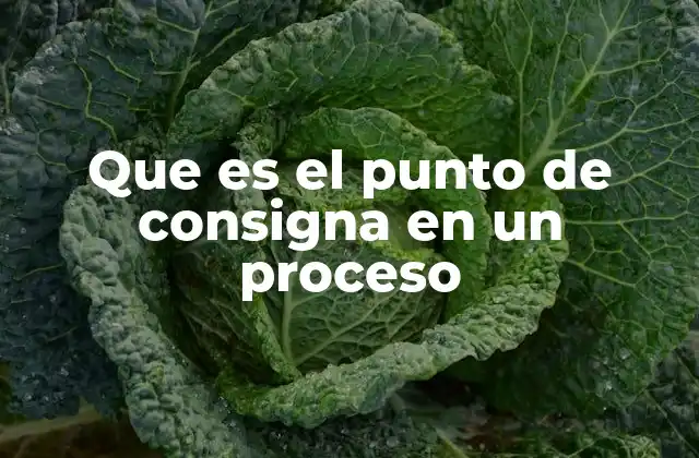 Que es el Punto de Consigna en un Proceso