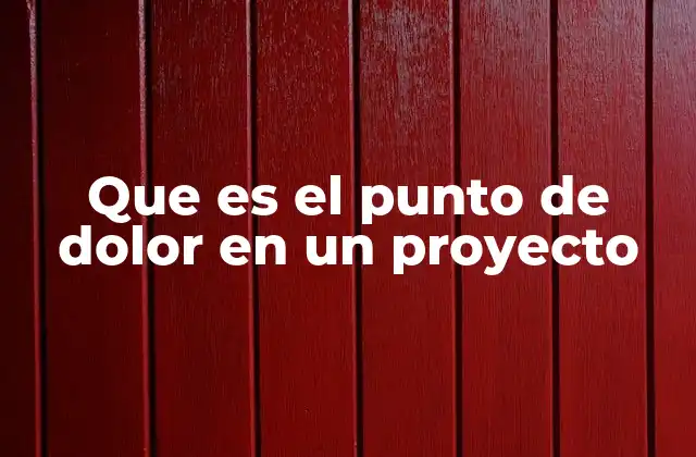 Que es el Punto de Dolor en un Proyecto