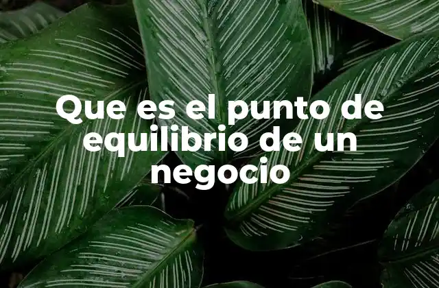 Que es el Punto de Equilibrio de un Negocio 2 Cómo el punto de equilibrio influye en la toma de decisiones
