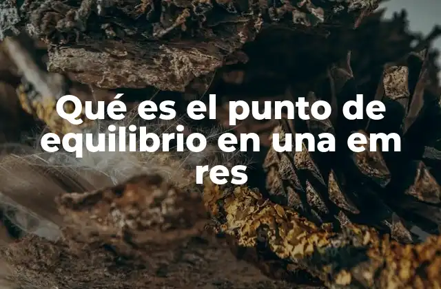 Qué es el Punto de Equilibrio en una Em Res