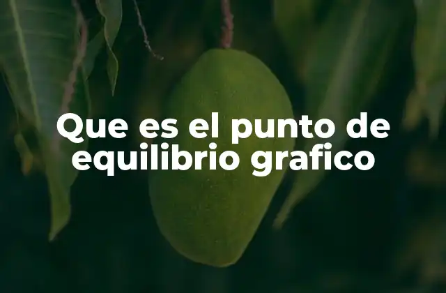 Que es el Punto de Equilibrio Grafico