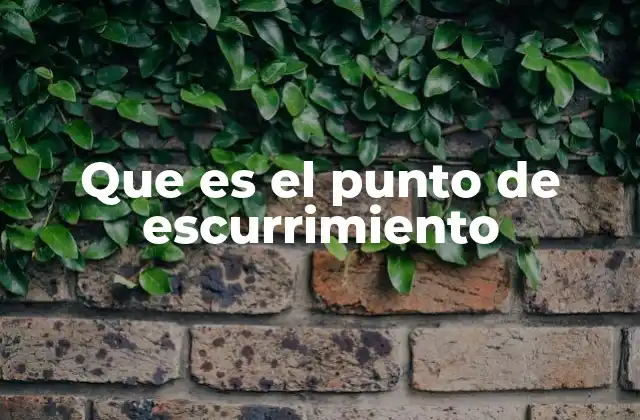 Que es el Punto de Escurrimiento