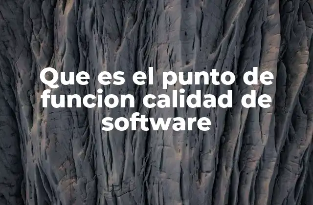 Que es el Punto de Funcion Calidad de Software 2 Cómo se integra la calidad en la medición de puntos de función