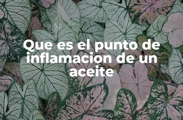 Que es el Punto de Inflamacion de un Aceite