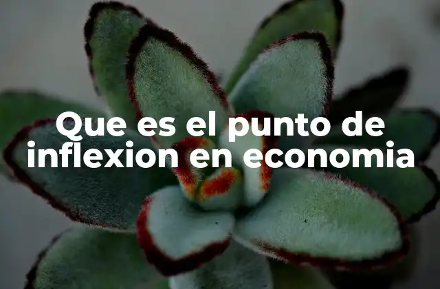 Que es el Punto de Inflexion en Economia