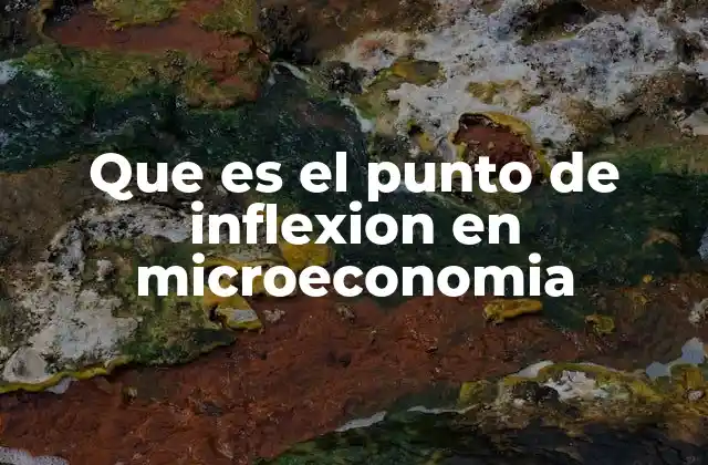 Que es el Punto de Inflexion en Microeconomia
