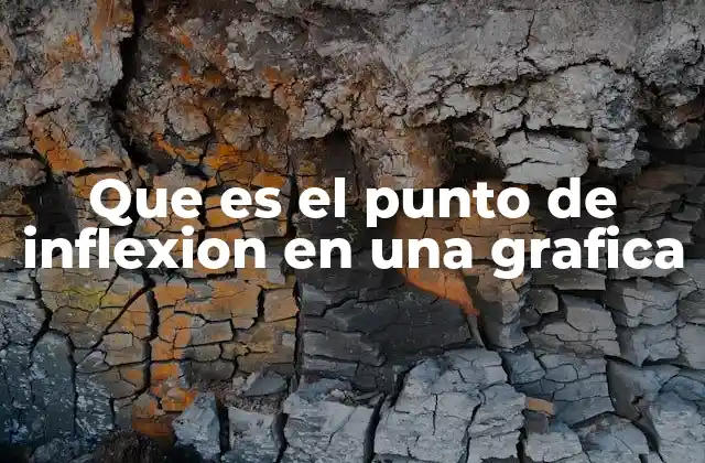 Que es el Punto de Inflexion en una Grafica