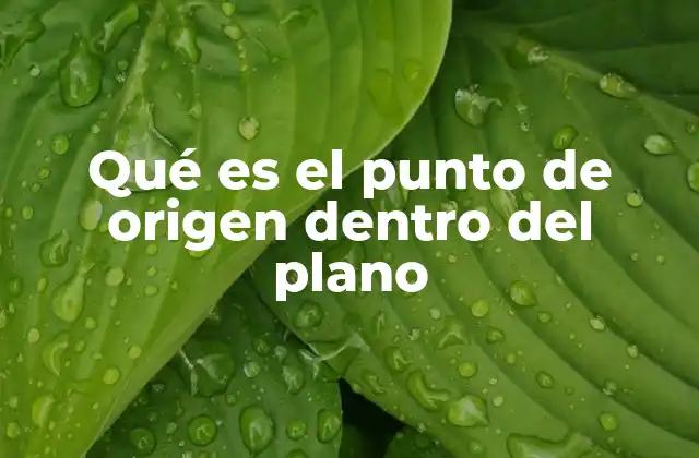 Qué es el Punto de Origen Dentro Del Plano