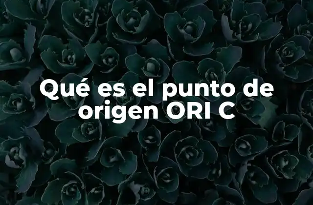 Qué es el Punto de Origen Ori C